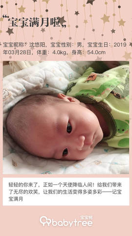 journal_insert_pic_1223034876