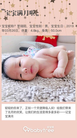 journal_insert_pic_1223217569