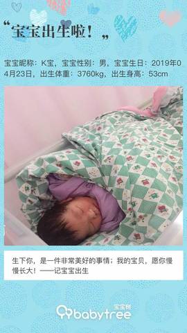 journal_insert_pic_1223057221