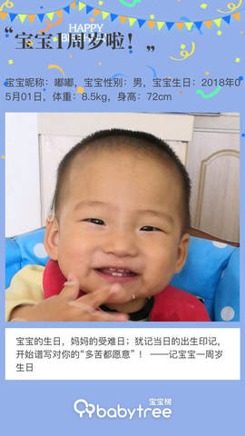 journal_insert_pic_1223240483