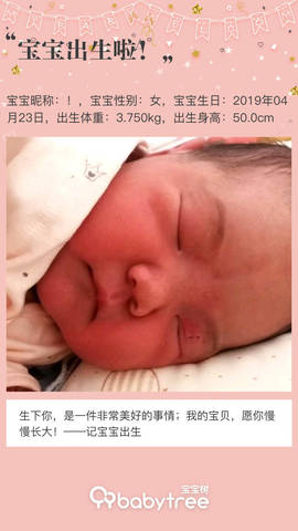 journal_insert_pic_1223124236