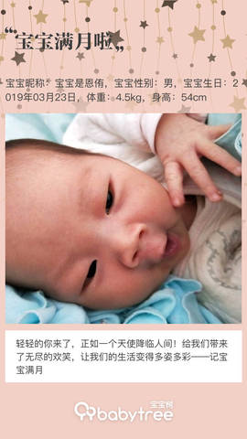 journal_insert_pic_1224196208