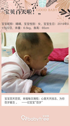 journal_insert_pic_1224366507
