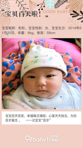 journal_insert_pic_1224585785
