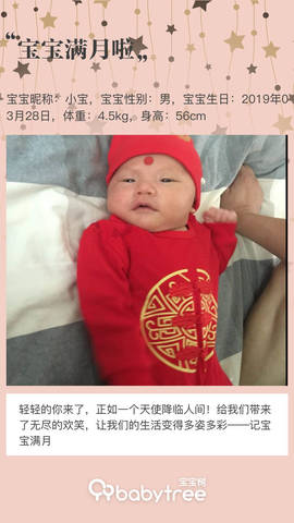 journal_insert_pic_1225064427