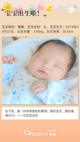 journal_insert_pic_1225338868