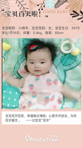 journal_insert_pic_1226116941