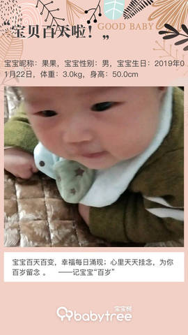 journal_insert_pic_1226154771