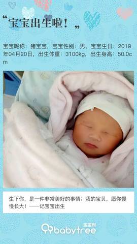 journal_insert_pic_1225714229