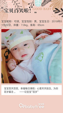 journal_insert_pic_1226413534