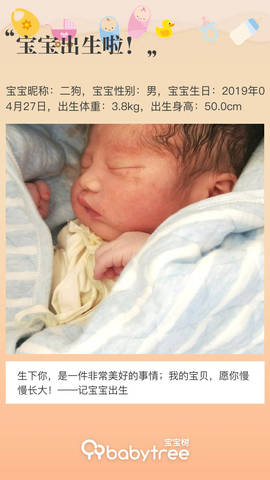 journal_insert_pic_1226984978