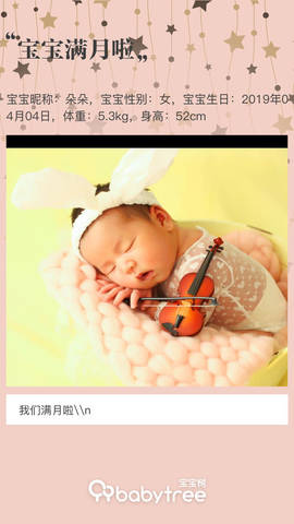 journal_insert_pic_1226895687