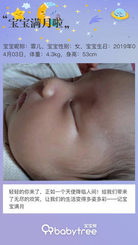 journal_insert_pic_1227383326