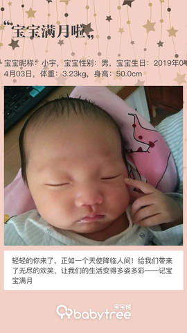 journal_insert_pic_1227568896