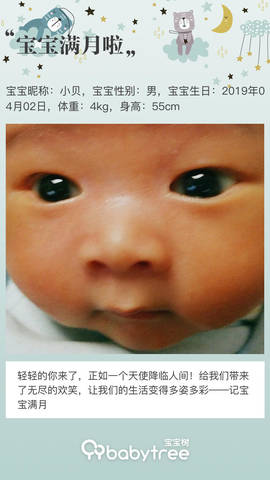 journal_insert_pic_1228523822