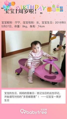 journal_insert_pic_1228852705