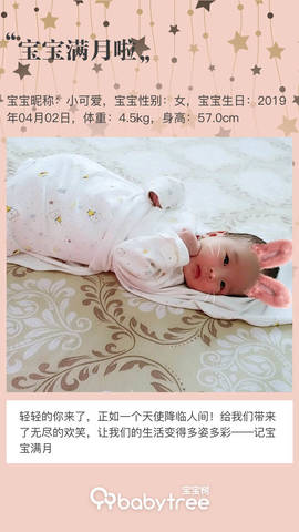 journal_insert_pic_1230661261
