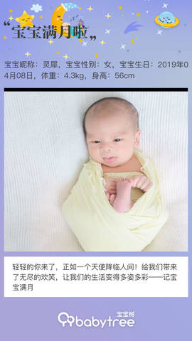 journal_insert_pic_1230576807