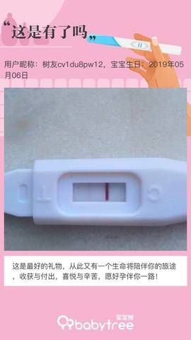 journal_insert_pic_1230243690