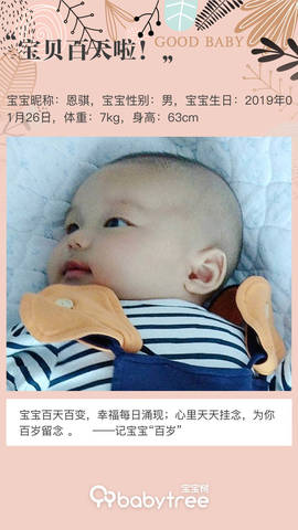 journal_insert_pic_1230560864