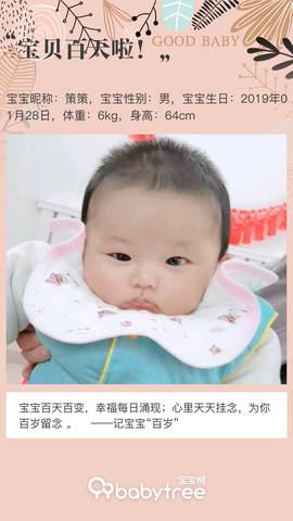 journal_insert_pic_1230960790