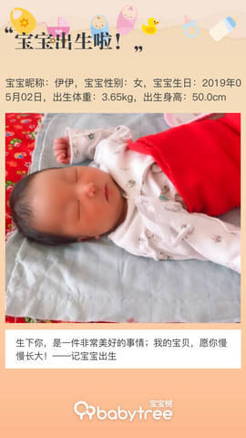journal_insert_pic_1231124046