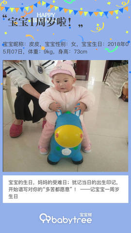 journal_insert_pic_1231779598
