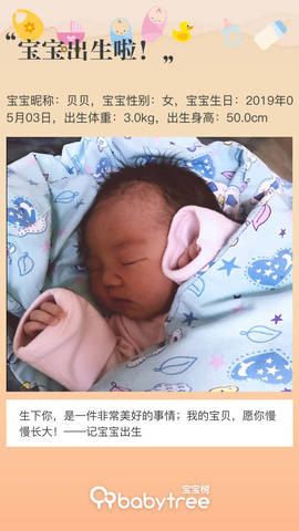 journal_insert_pic_1232600631