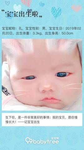 journal_insert_pic_1232667212