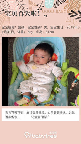 journal_insert_pic_1233111228