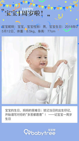 journal_insert_pic_1233052728
