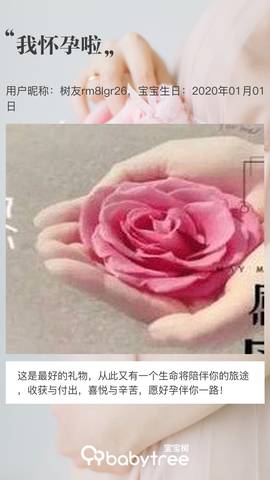 journal_insert_pic_1233992819