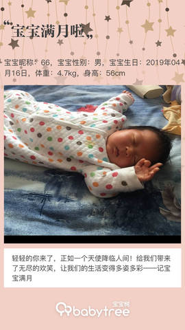 journal_insert_pic_1236613207