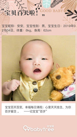 journal_insert_pic_1237206153