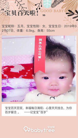 journal_insert_pic_1237315730