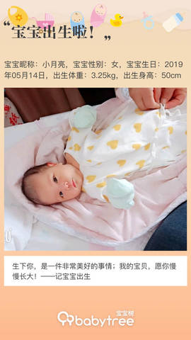 journal_insert_pic_1237163823