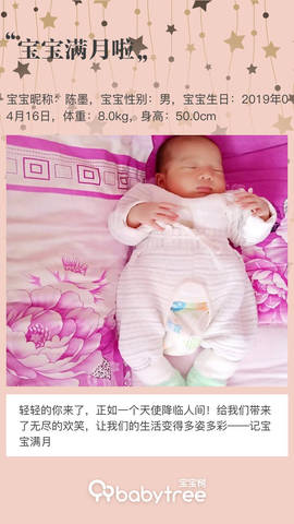 journal_insert_pic_1237813111