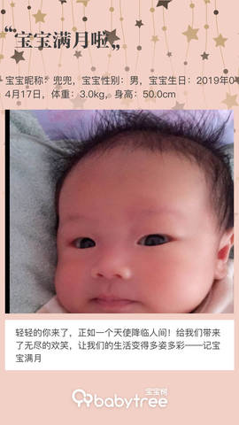 journal_insert_pic_1238347977