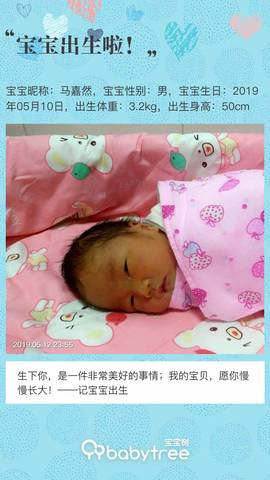 journal_insert_pic_1238254418