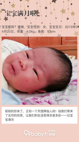 journal_insert_pic_1239000769