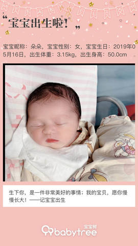 journal_insert_pic_1239094555