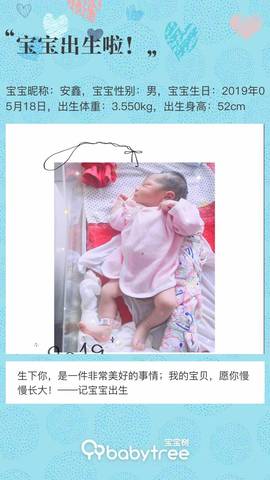 journal_insert_pic_1239123812