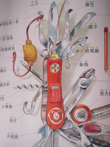 journal_insert_pic_4125224586