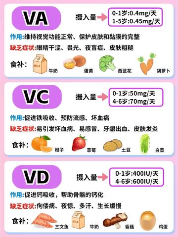 journal_insert_pic_4125204211