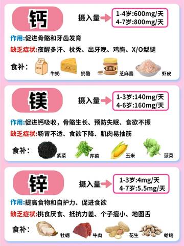 journal_insert_pic_4125204150