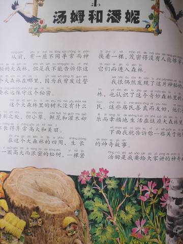journal_insert_pic_4125224591
