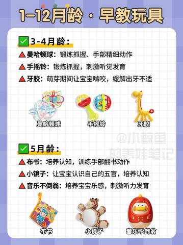 journal_insert_pic_4125067597