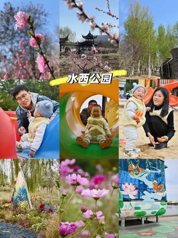 journal_insert_pic_4126890603