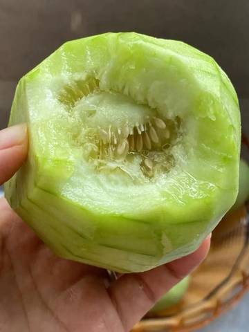 journal_insert_pic_4361980802