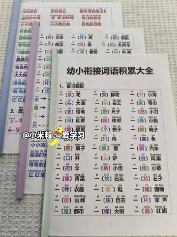 journal_insert_pic_4362463181